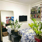 Calista Rounded Rectangle Mirror - serenee-manila.myshopify.com